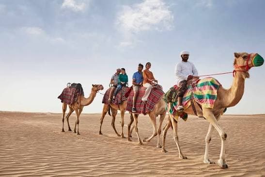 Dubai Desert & City Getaway