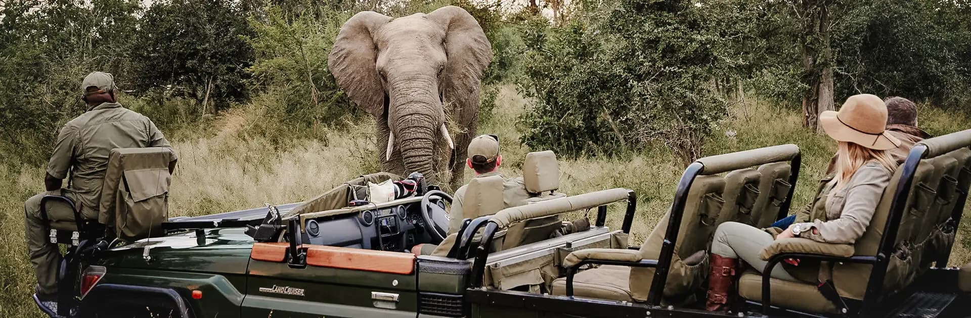 South Africa: Cape Town & Kruger — 1